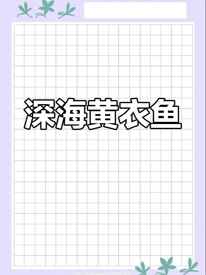 黄衣鱼,深海中的珍稀瑰宝,运气好时货源丰富