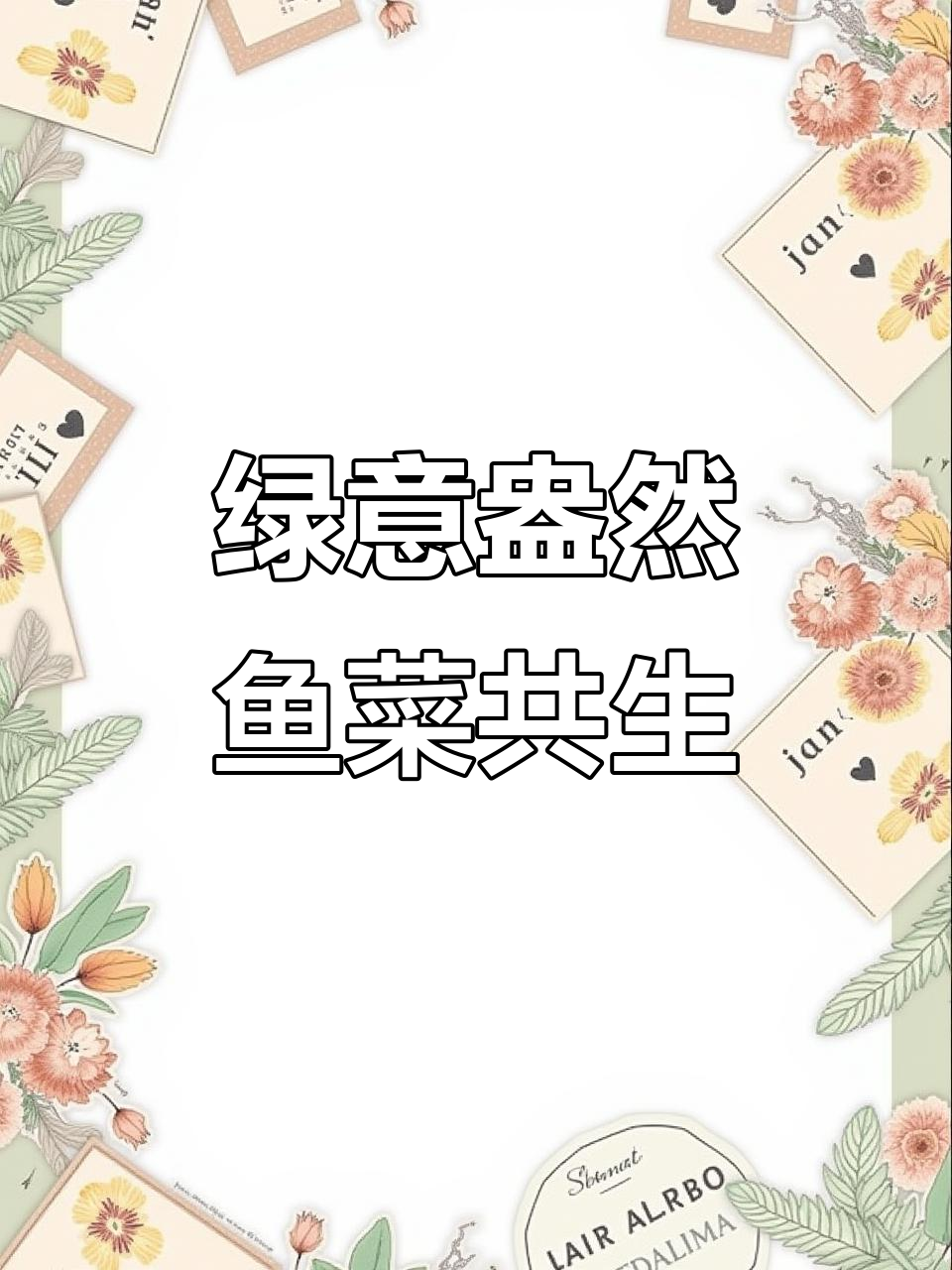 鹅卵石中种植蔬菜,绿色生态共生