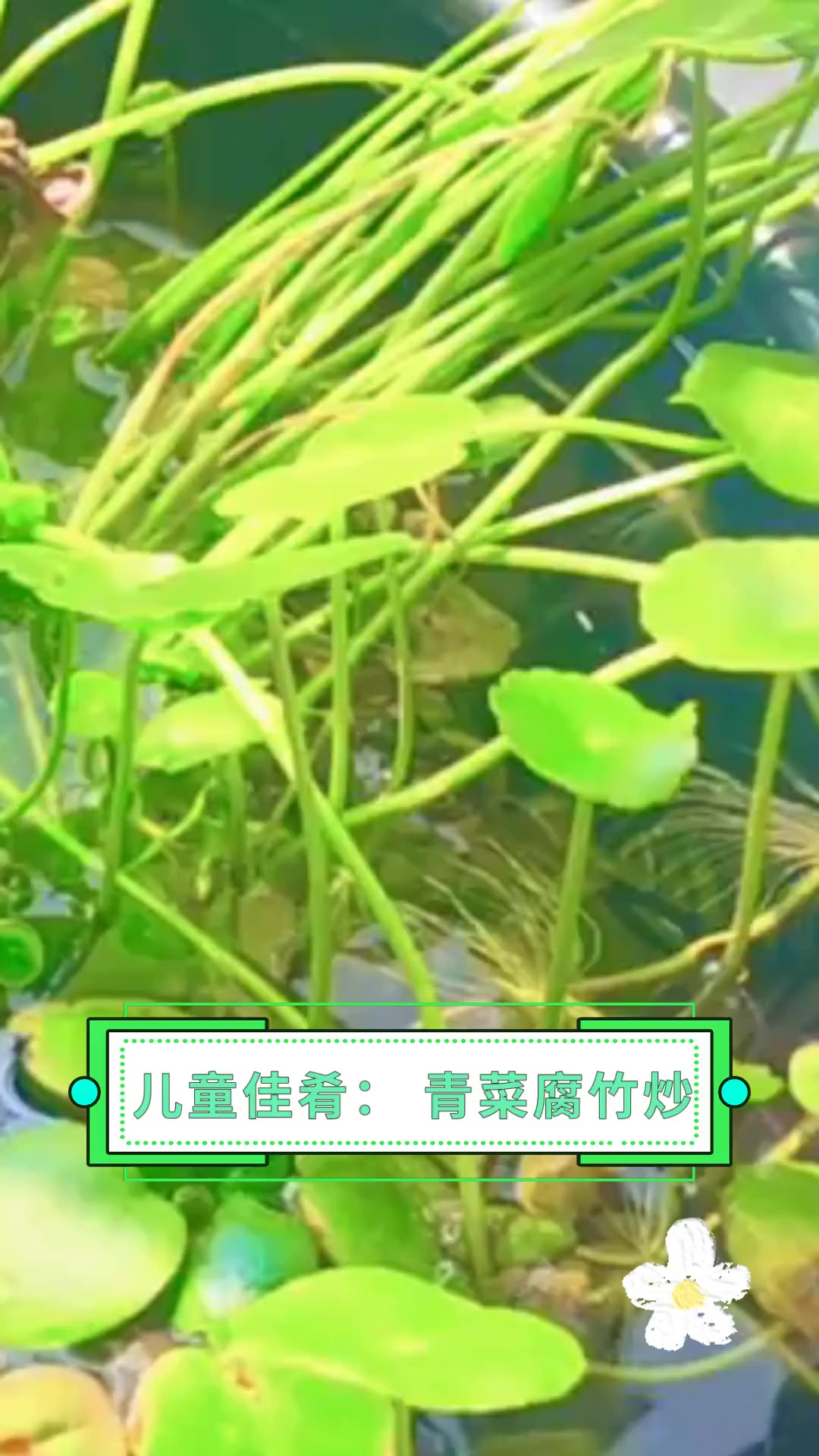 儿童佳肴:青菜腐竹炒