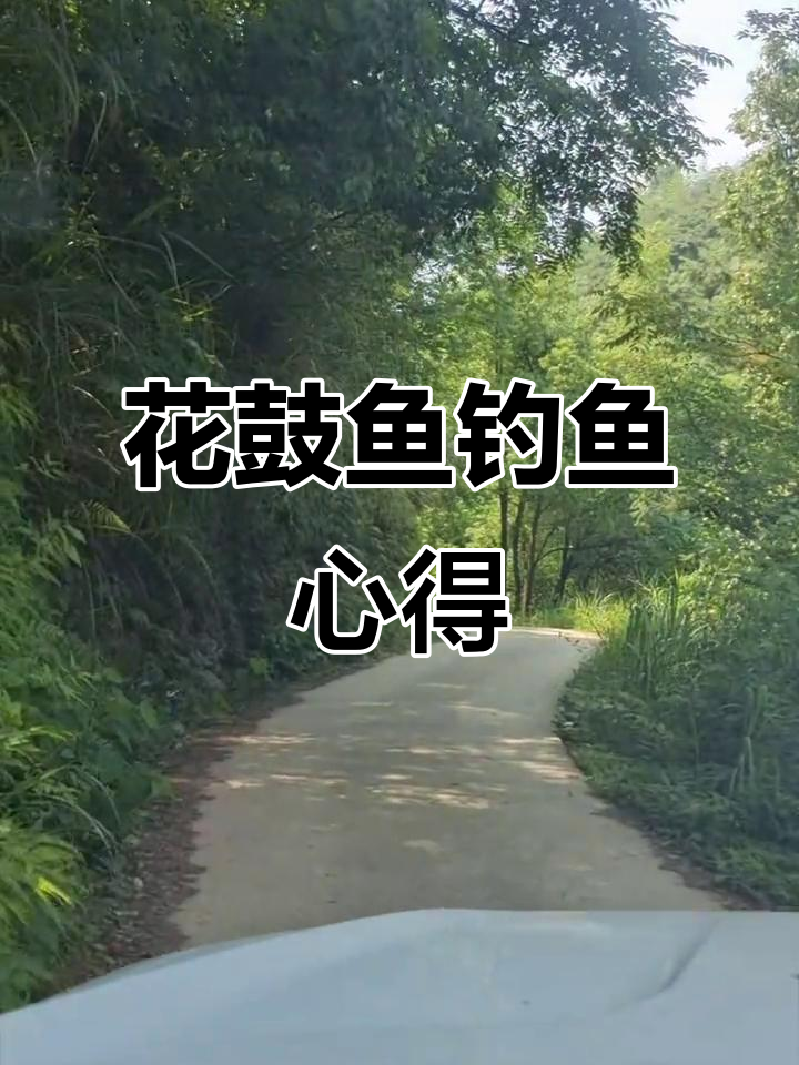 钓花骨鱼技巧大揭秘,小型水库实战经验分享