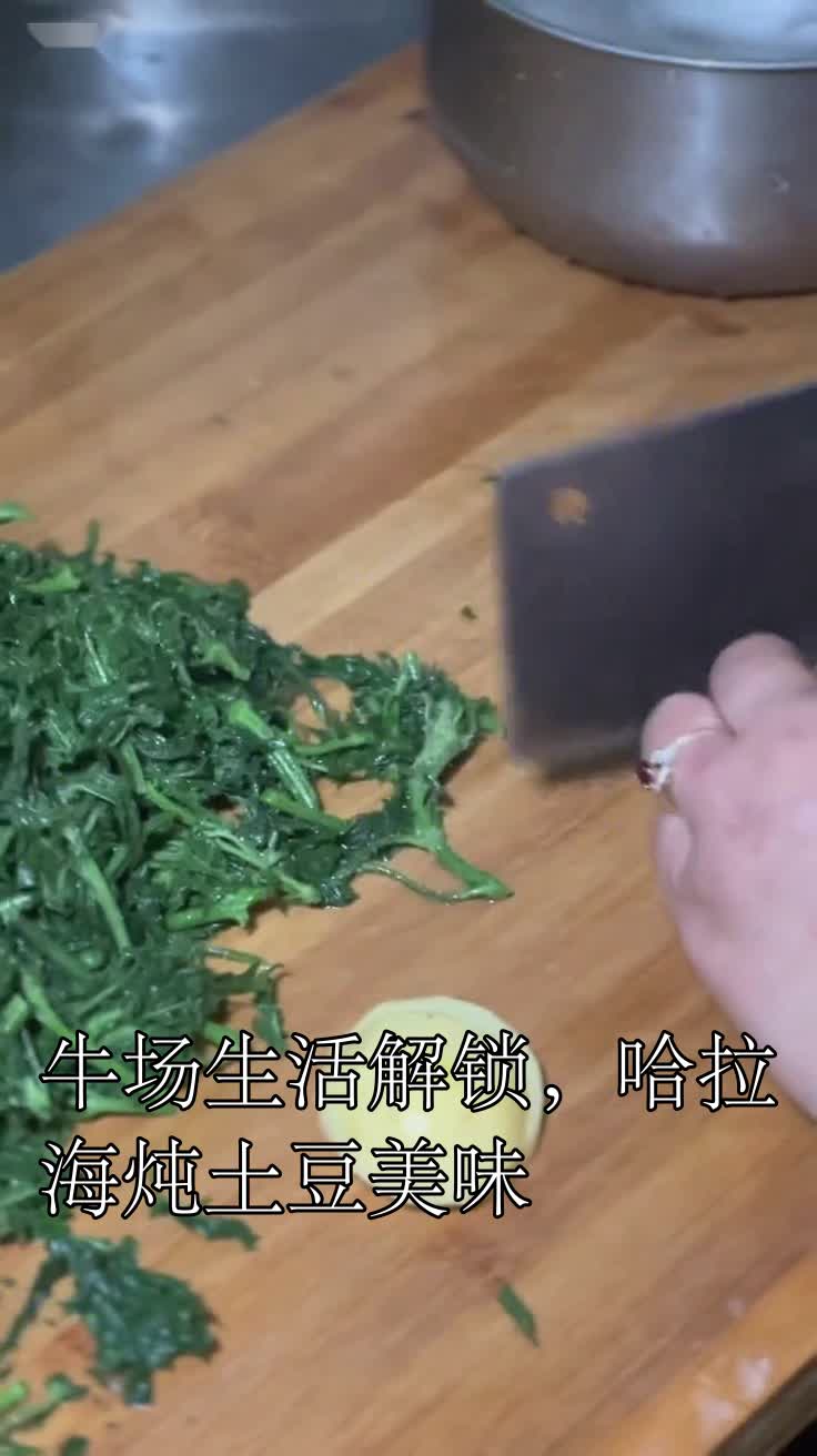 牛场生活解锁,哈拉海炖土豆美味