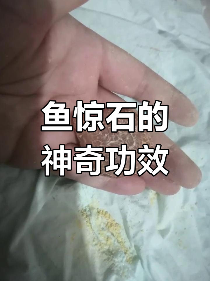 鱼惊石:驱邪纳福的神秘吊坠