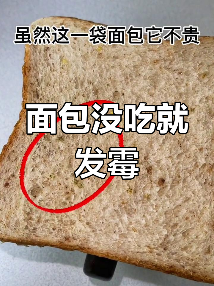新买面包竟长毛,日本超市也有问题