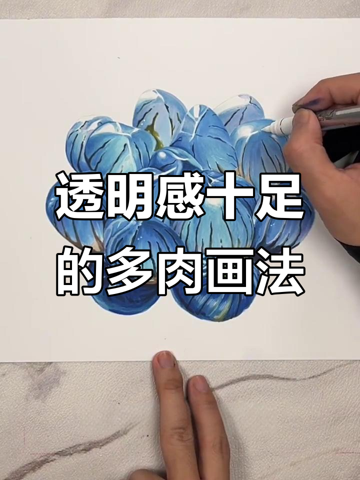马克笔绘制晶莹多肉植物，轻松掌握通透感