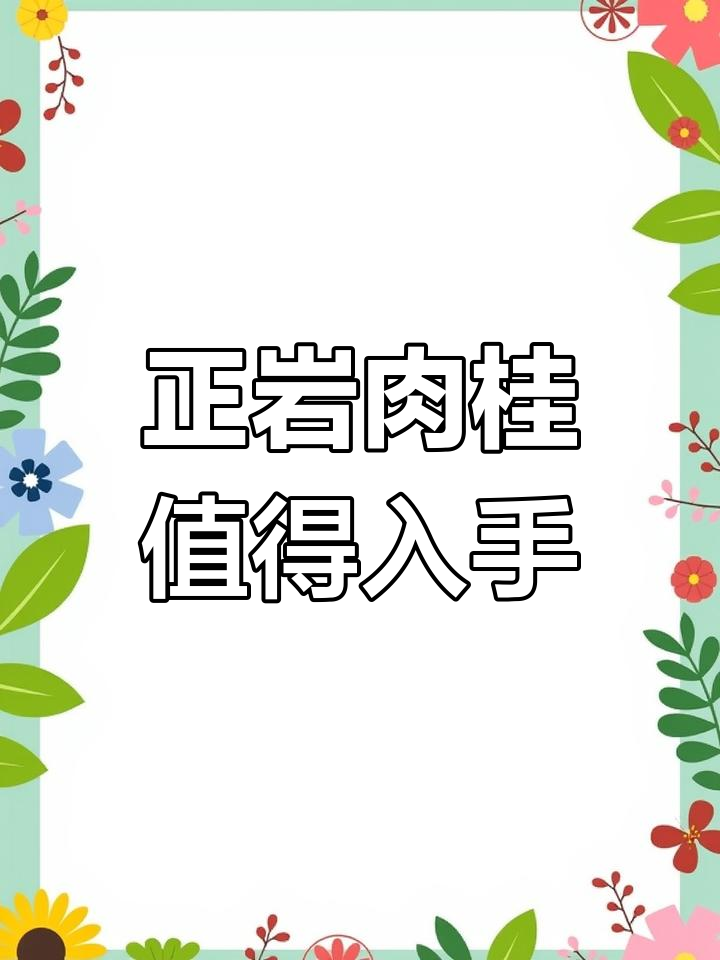 武夷岩茶肉桂:500元一盒,口感超值!