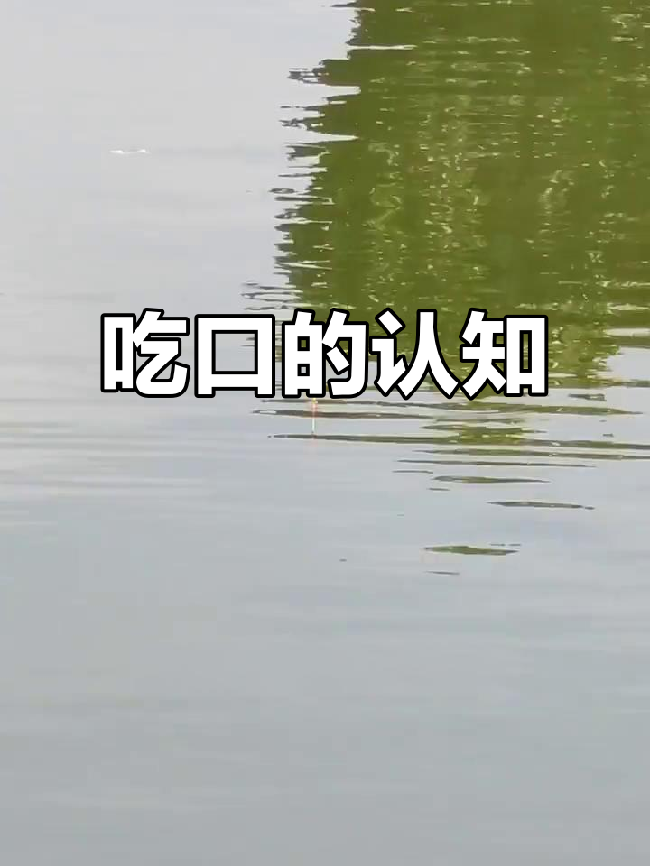 浮漂吃口解析:如何判断控杆锚鱼与中鱼的技巧