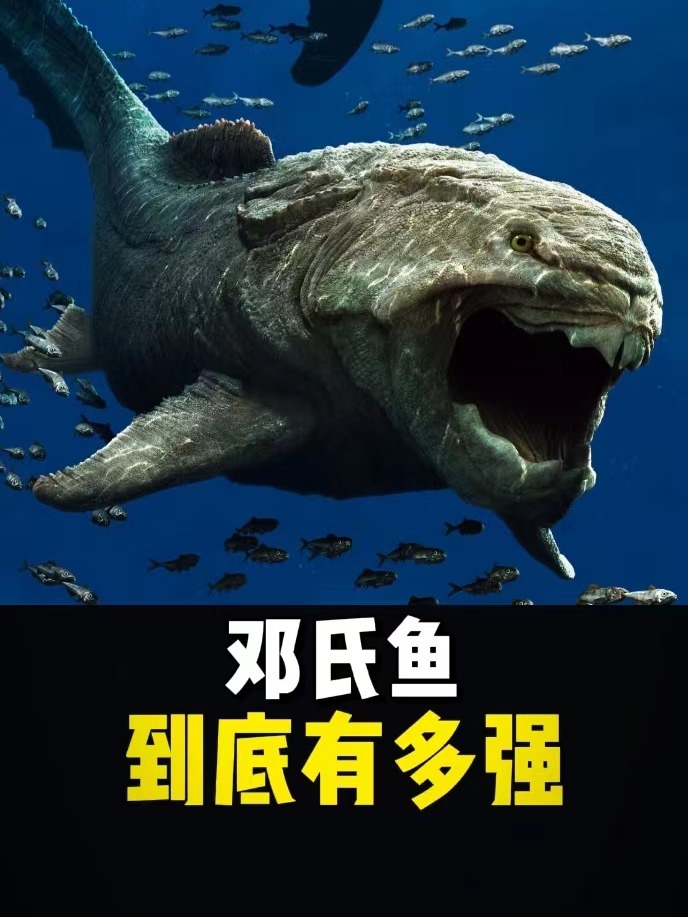 邓氏鱼到底有多强?