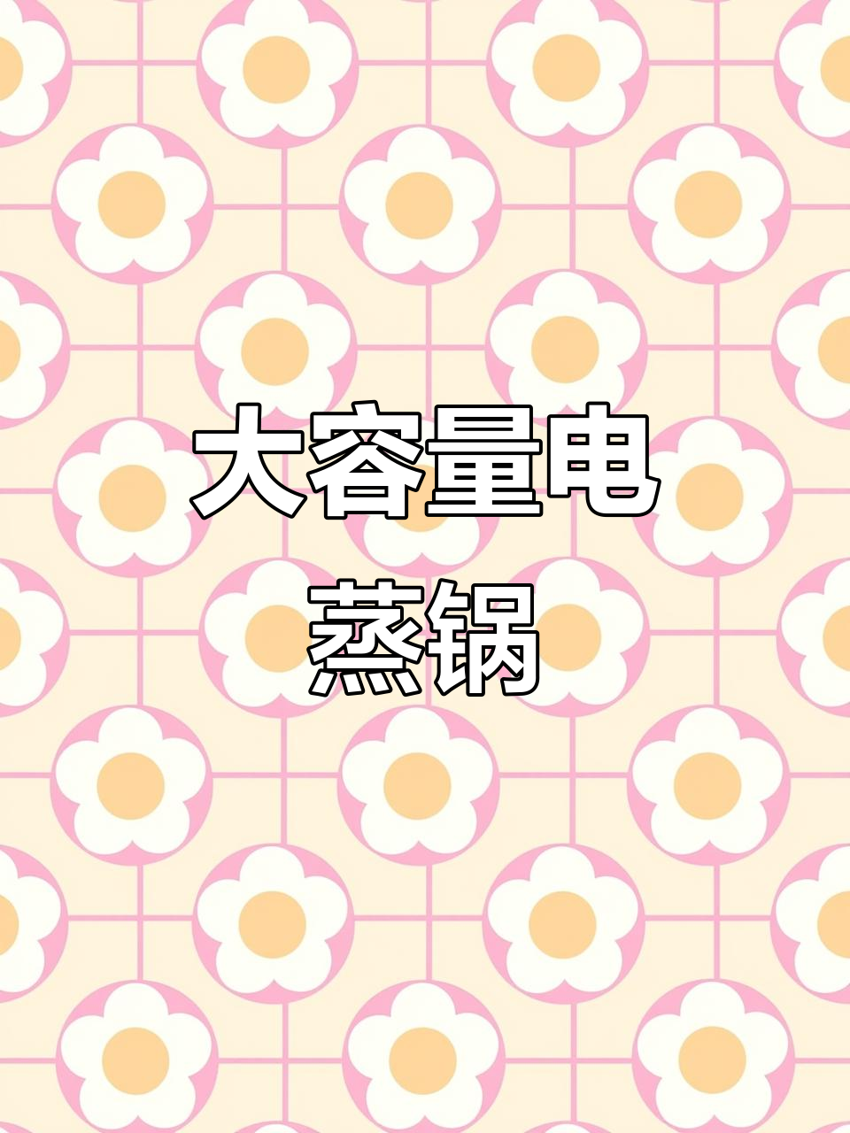 304不锈钢电蒸锅，大容量三层设计，家用商用皆宜