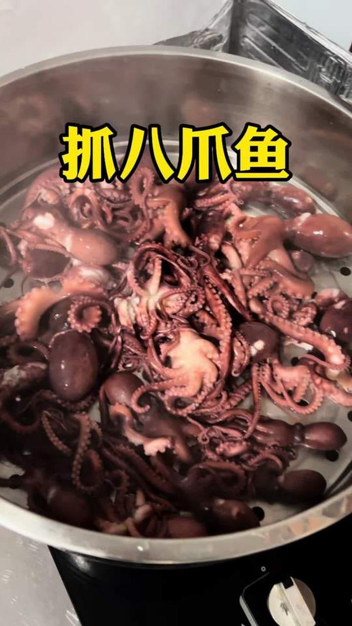 赶海小分队抓八爪鱼,看看收获了多少大货