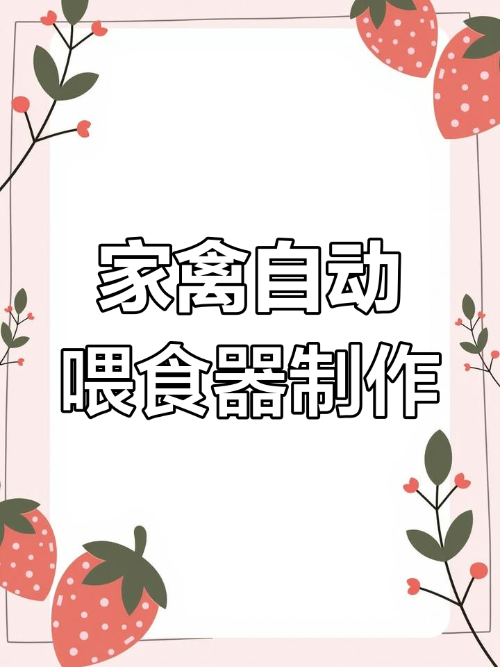 自制家禽自动喂食器,轻松省心养鸡鸭