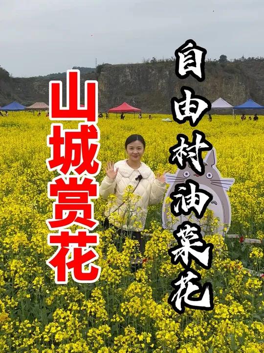 赏花何必舍近求远,巴南这片油菜花海就很漂亮!油菜花的季节春天当然要拍油菜花旅行推荐官周末去