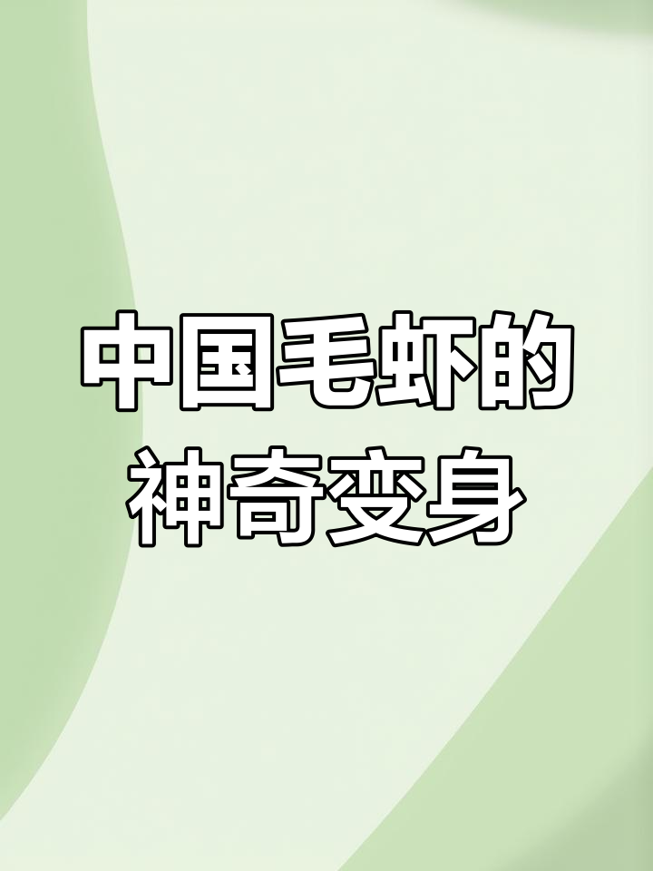探秘中国毛虾:从海中捕捞到美味虾皮的诞生过程