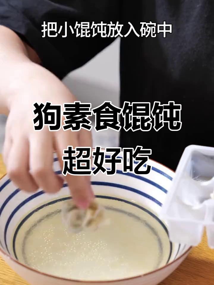 一条狗速食馄饨,简单又美味!大人小孩都爱吃