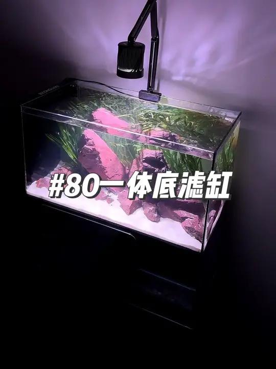 最近非常火的一体底滤缸、做一个三角构图的溪流景观用来养原生鱼 水族 空气缸 开缸 鱼缸里的