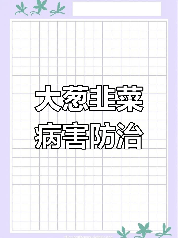 韭菜大葱病害全防,细菌真菌一扫光