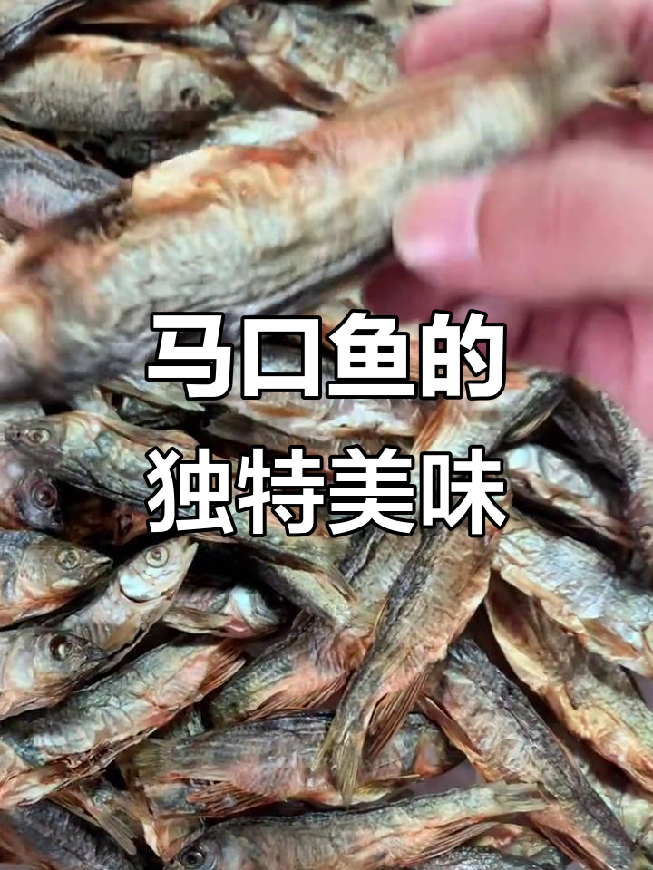 彩色马口鱼,炒辣椒下饭又下酒