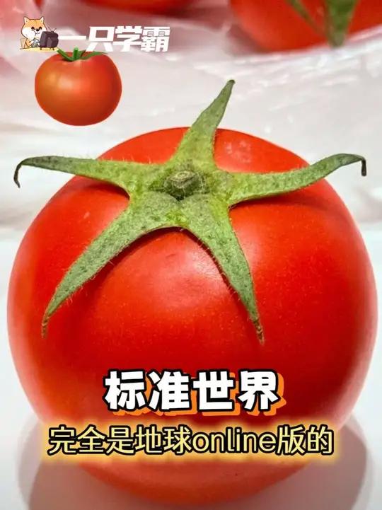 发现了标准世界里的标准物 #地球online #生活 #春天的味道 #emoji #美好生