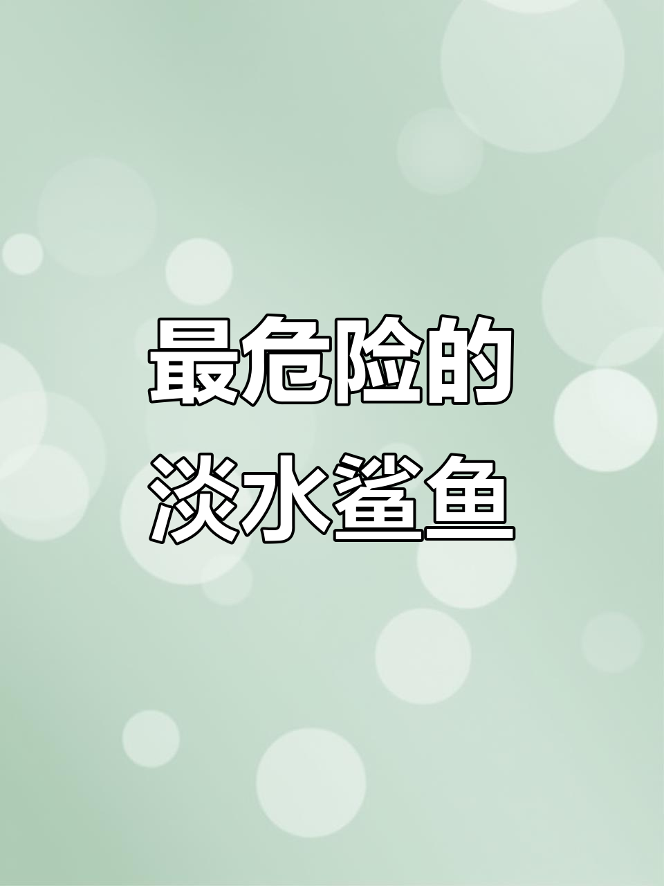 淡水鲨鱼之王，牛鲨为何敢挑战极限？盘点九大最危险动物