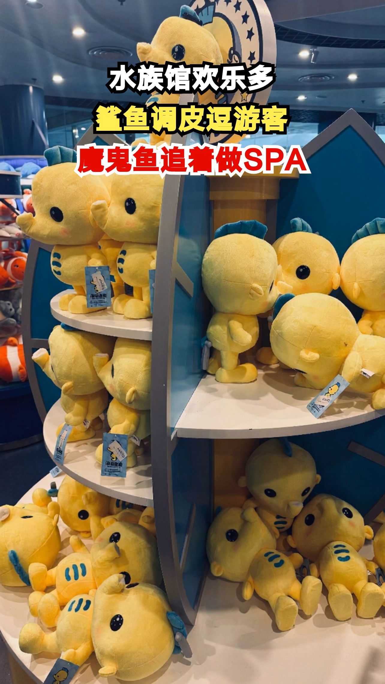 水族馆里鲨鱼见我就溜，魔鬼鱼追着做SPA？这体验太魔幻了！