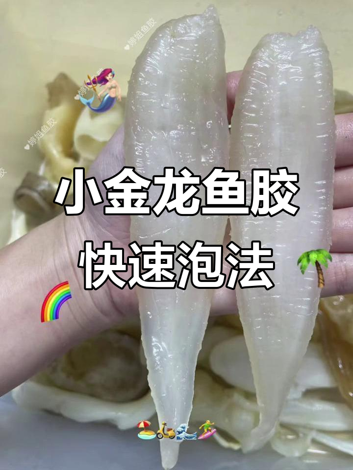 3分钟搞定小金龙鱼胶泡发,超简单步骤教你轻松上手