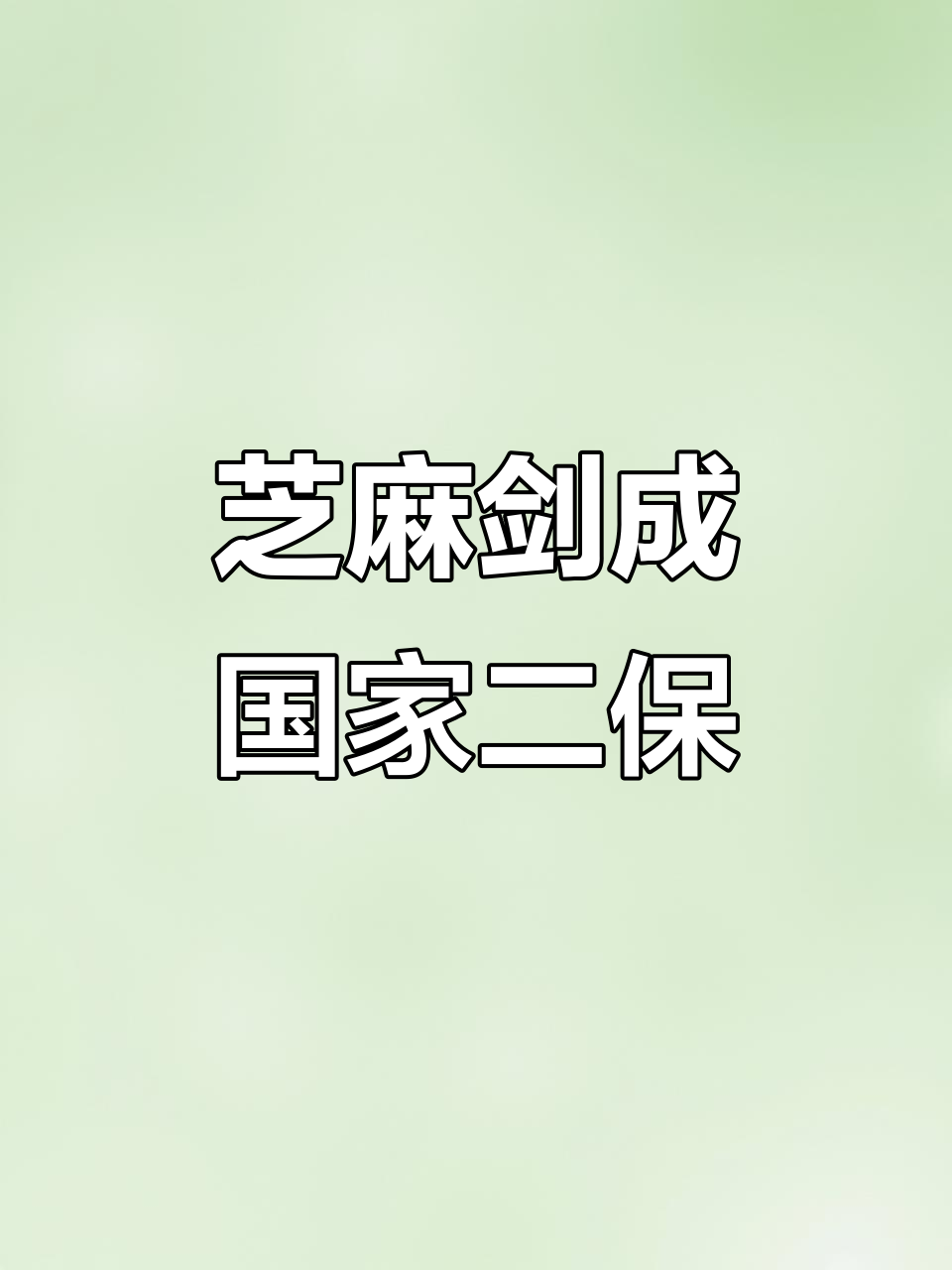 芝麻剑被列为二级保护动物,见到这种鱼要小心