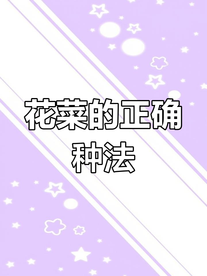 有机花菜种植技巧:合理密度与间距