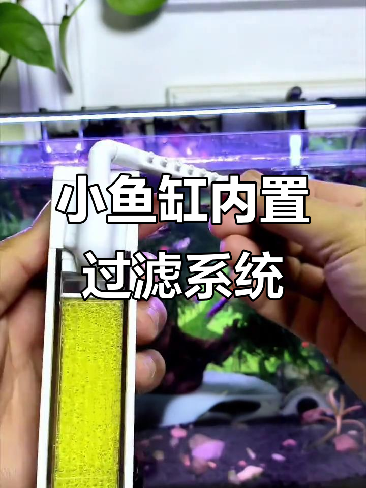 40小鱼缸必备三合一过滤器,吸盘设计轻松安装
