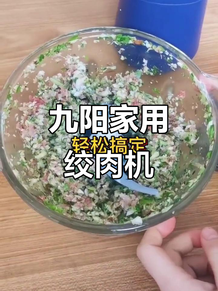 家用绞肉机,九阳品牌必备神器