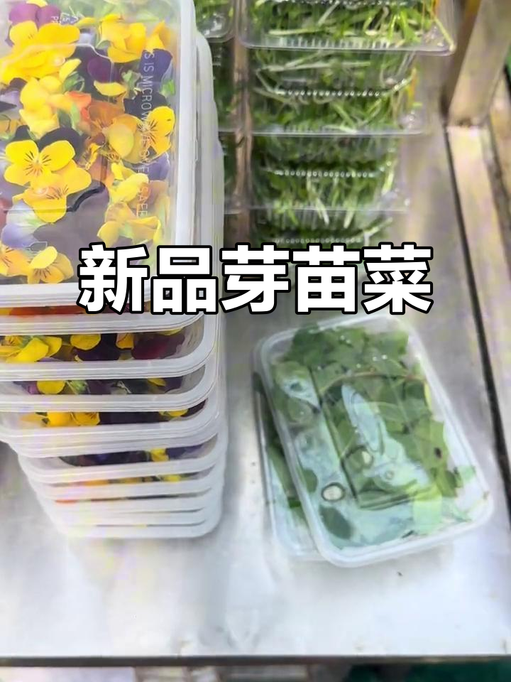 芽苗菜新品种,营养丰富,做法多样,餐饮界的新宠!