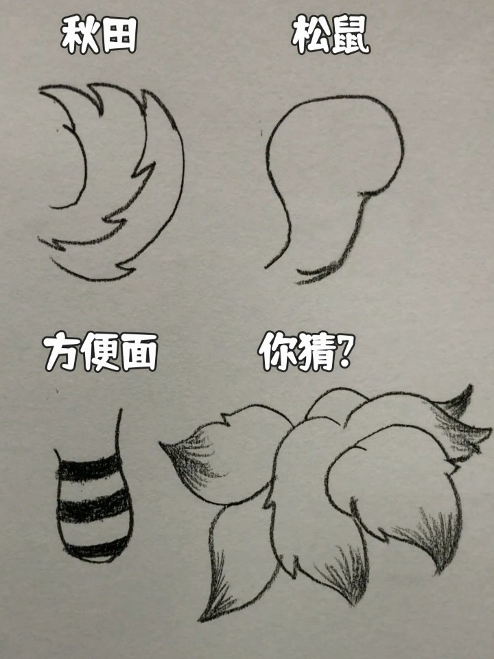 不同类型的尾巴 绘画小技巧