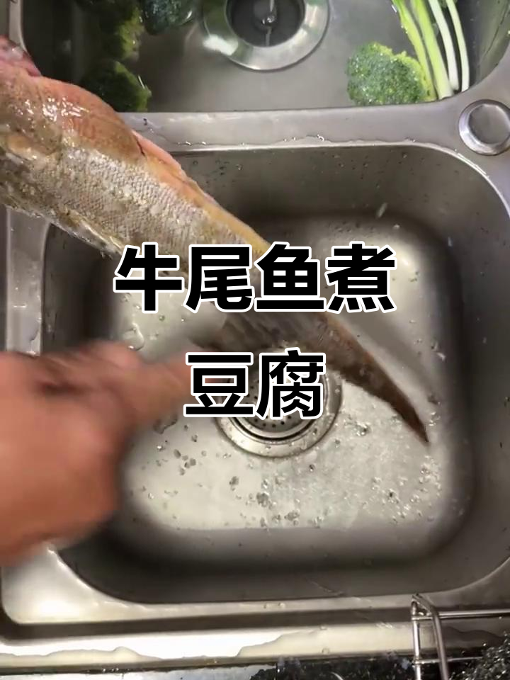 牛尾鱼豆腐汤,鲜美又营养!