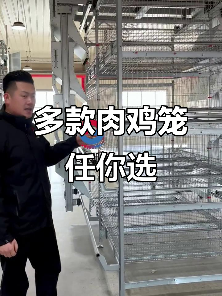 多种肉鸡笼设备,满足不同养殖需求