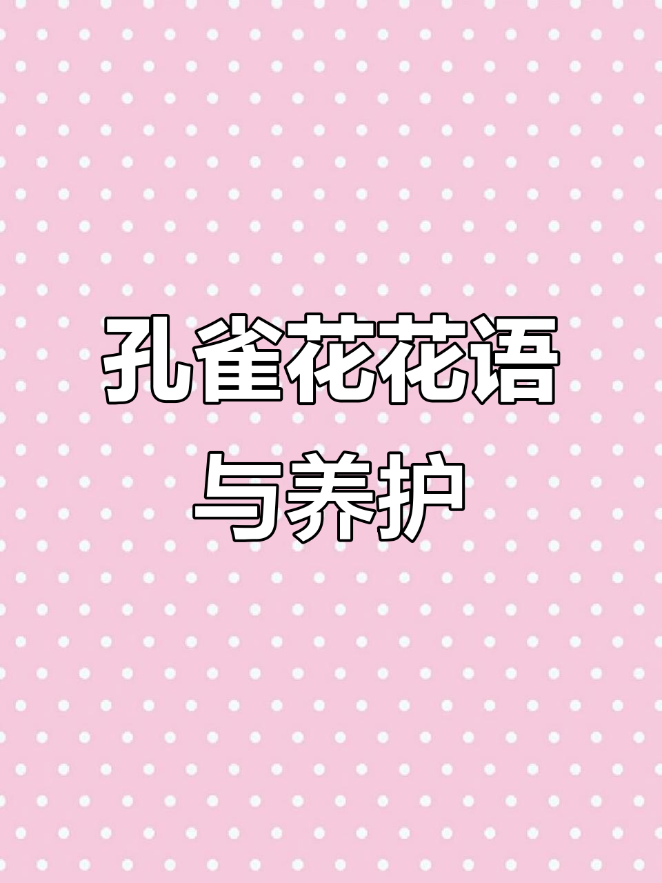 孔雀花:美丽如凤凰的室内绿植,耐寒耐旱,养护简单