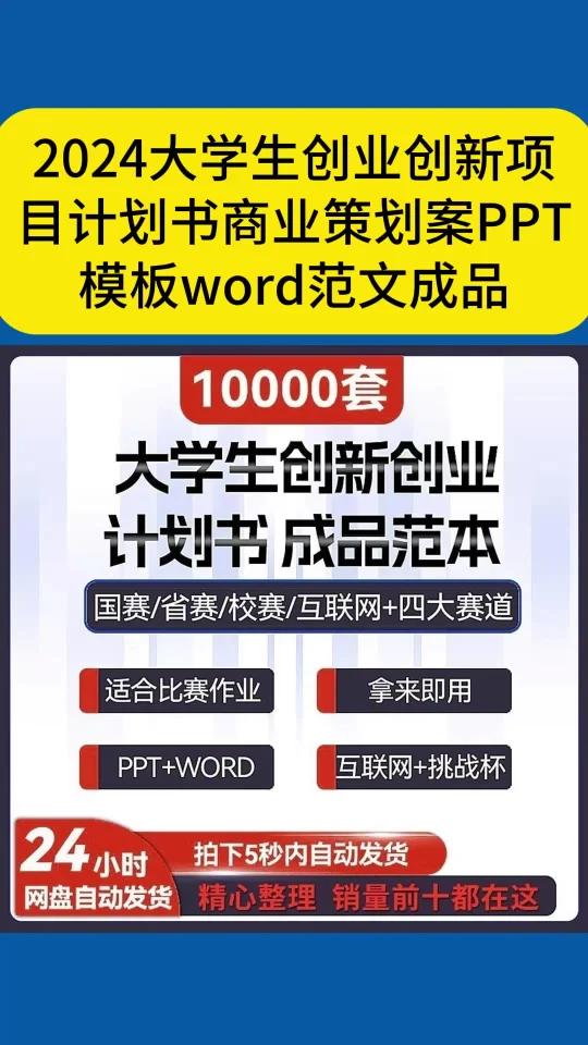 2024大学生创业创新项目计划书商业策划案