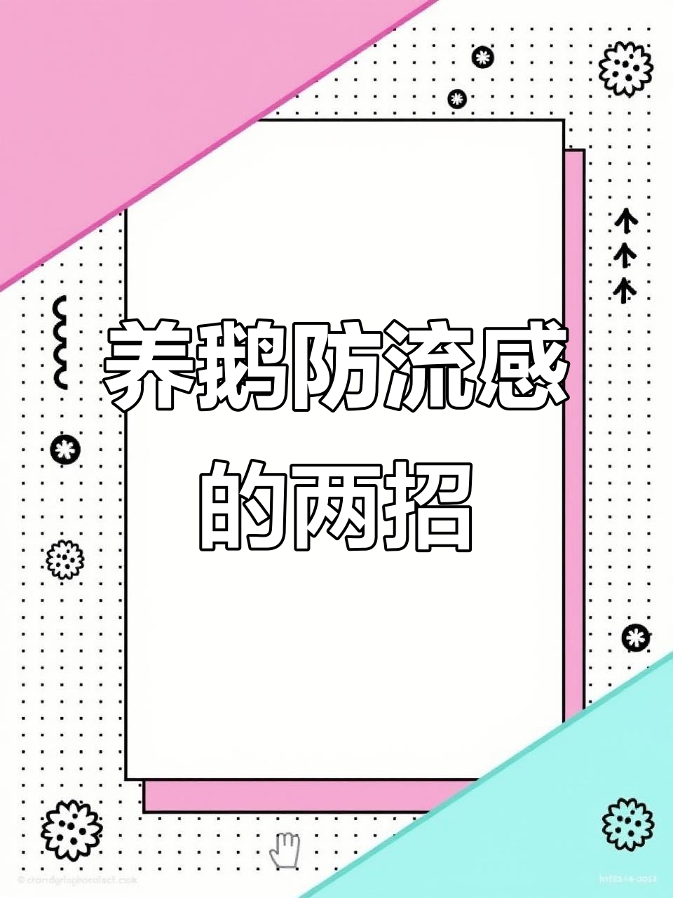 禽流感高发!养鹅必知防治技巧