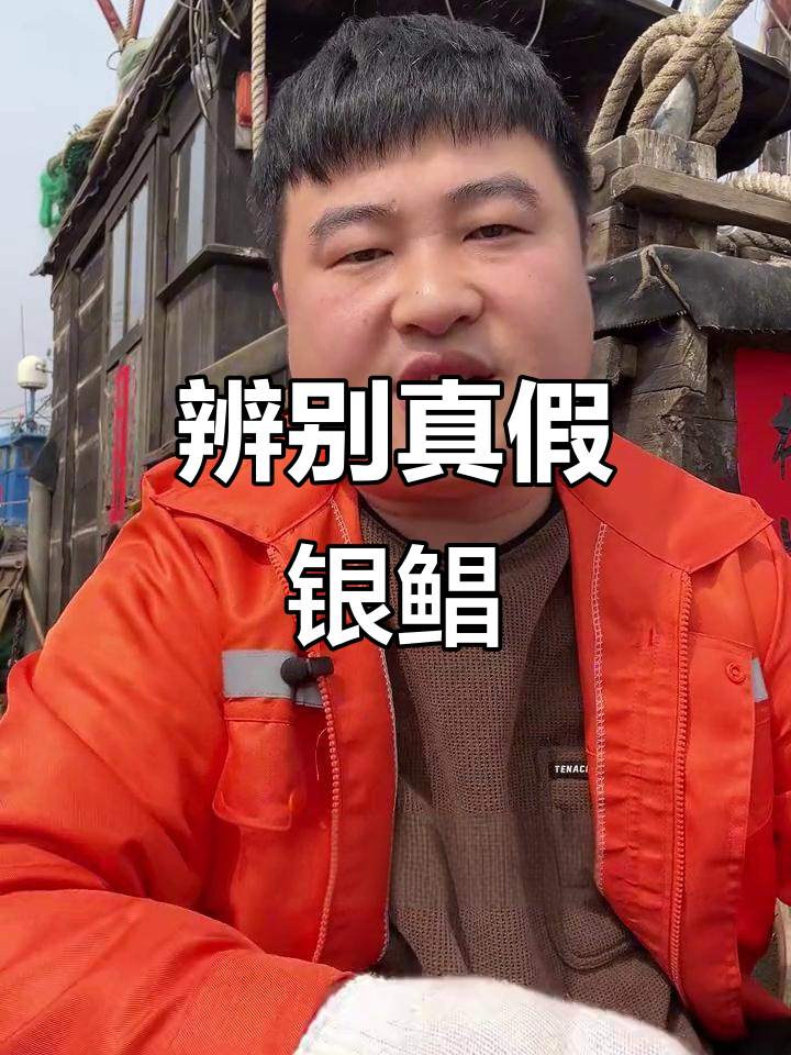 如何挑选正宗银鲳鱼?避免买到养殖金鲳