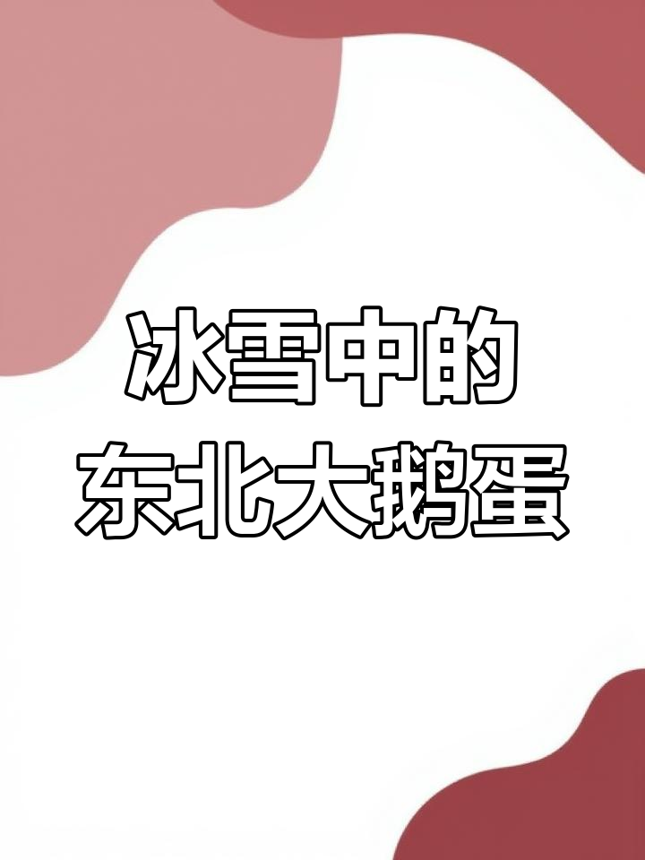 东北大鹅冰天雪地下的蛋,竟然这么猛!