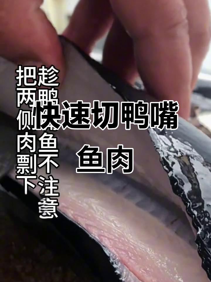鸭嘴鱼火锅,刀法快才能不痛苦!