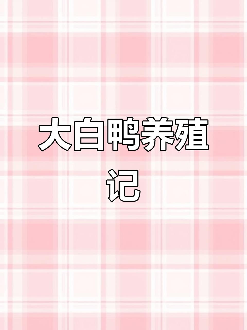 7斤半大白鸭,100块4只,68天养殖成果揭秘