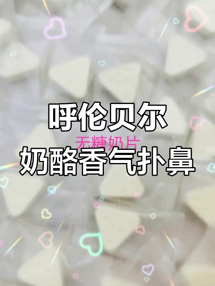 内蒙古呼伦贝尔大草原奶酪大揭秘,口感超香让人无法抗拒