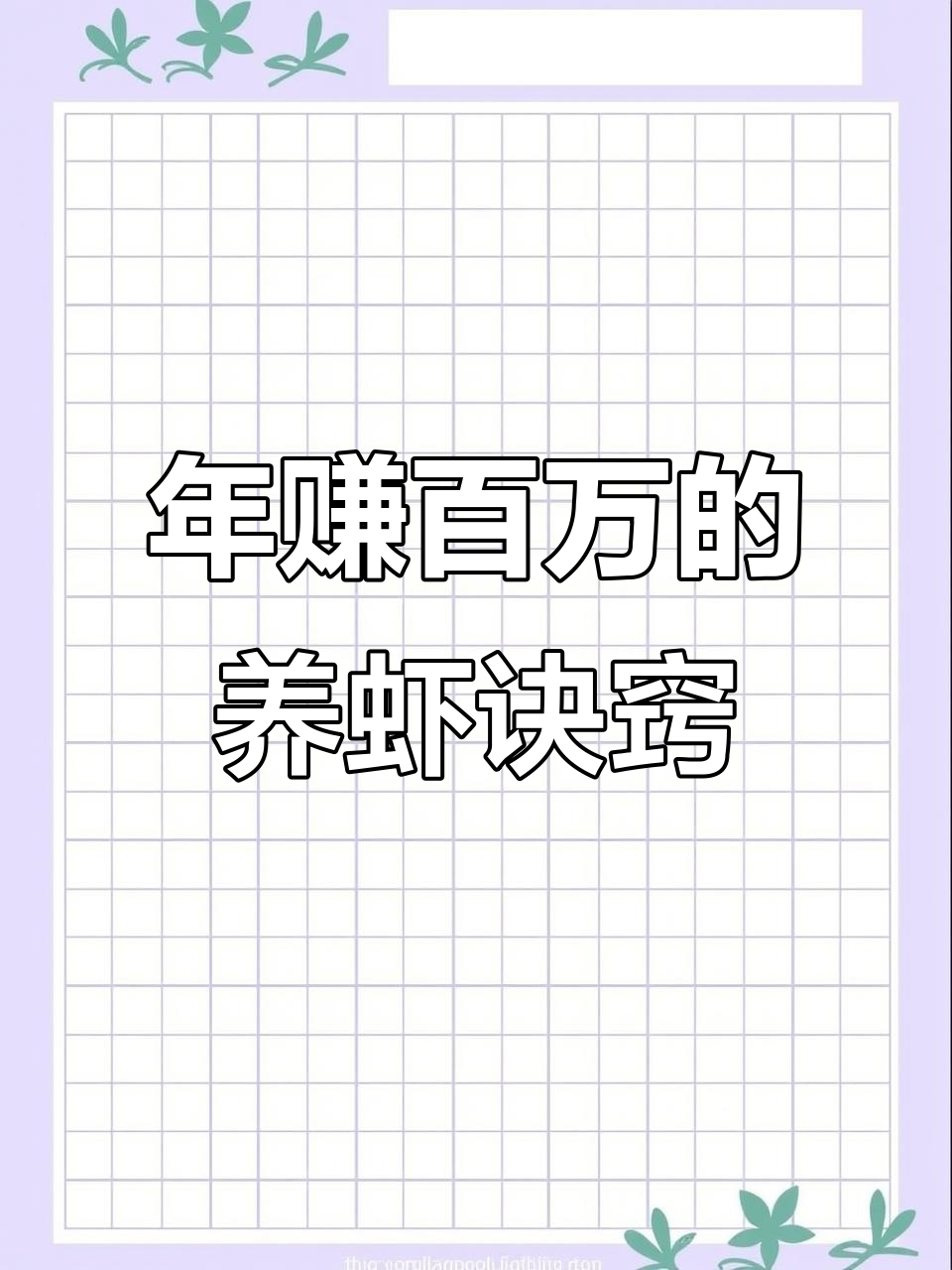 养虾秘诀大揭秘,掌握这些技巧年赚百万不是梦