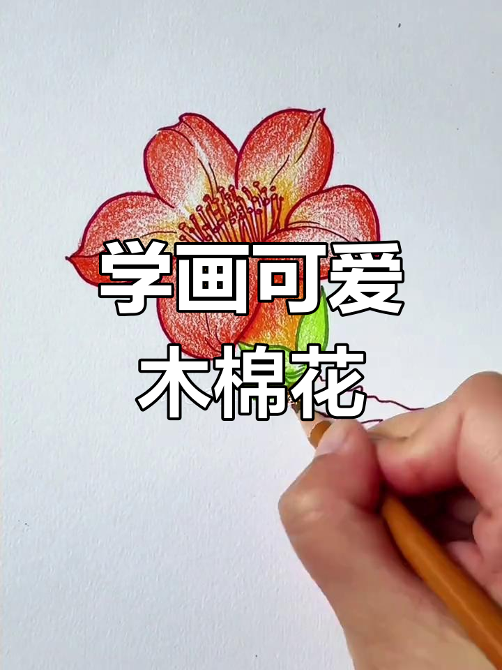 轻松画木棉花,步骤简单又有趣