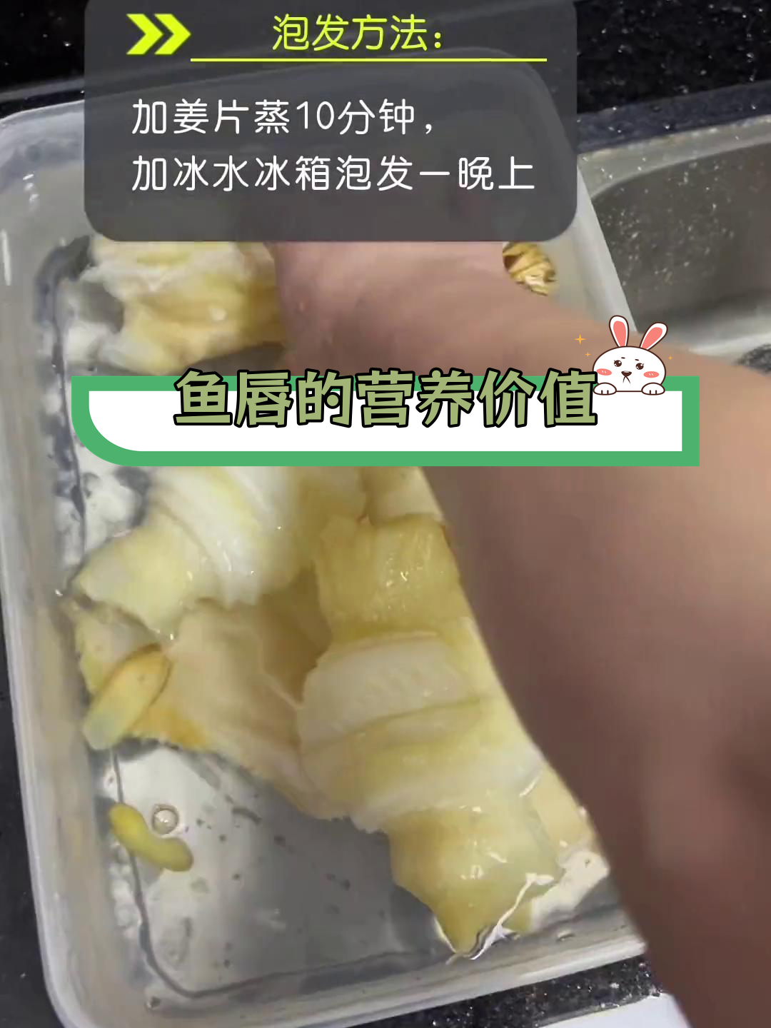 鱼唇的秘密部位,胶质丰富!