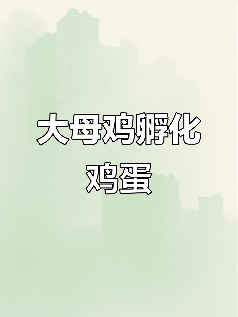 借大母鸡孵蛋,期待小鸡出生