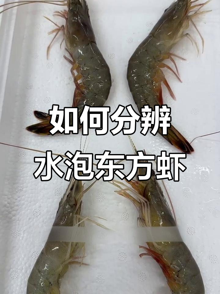 东方虾选购要注意!如何辨别水泡货