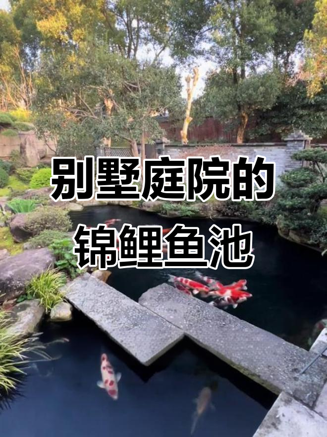 200平米庭院打造锦鲤鱼池,50立方水体设计细节揭秘