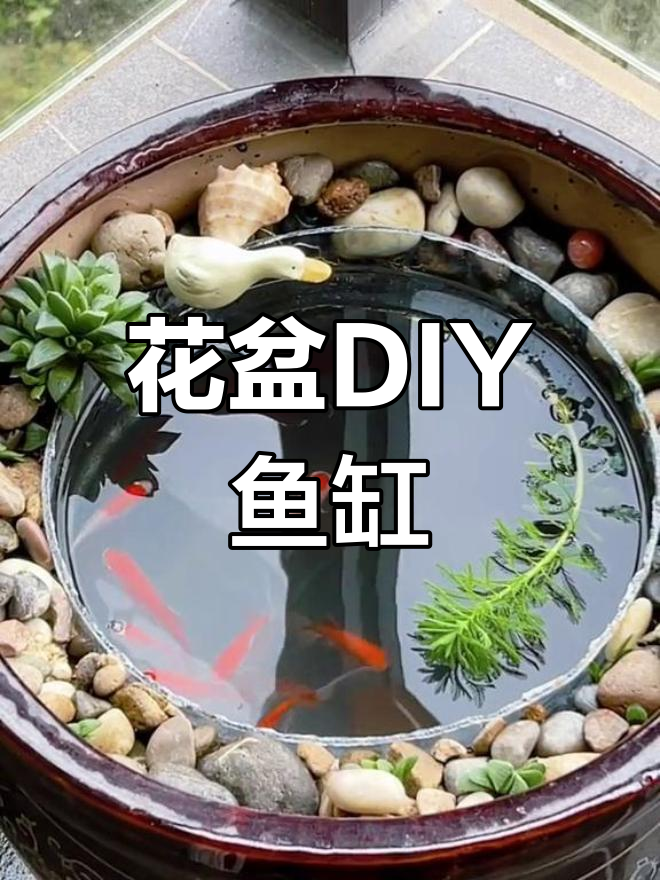 用花盆打造古法鱼缸,简单又生态