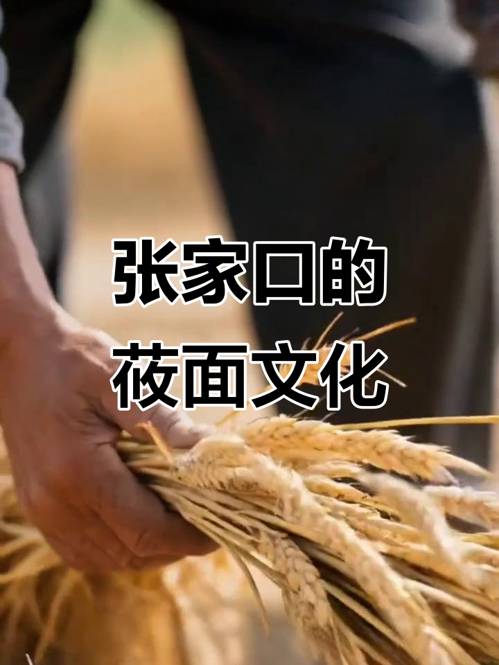 张家口坝上莜面,传统手工技艺与农耕文化的完美结合