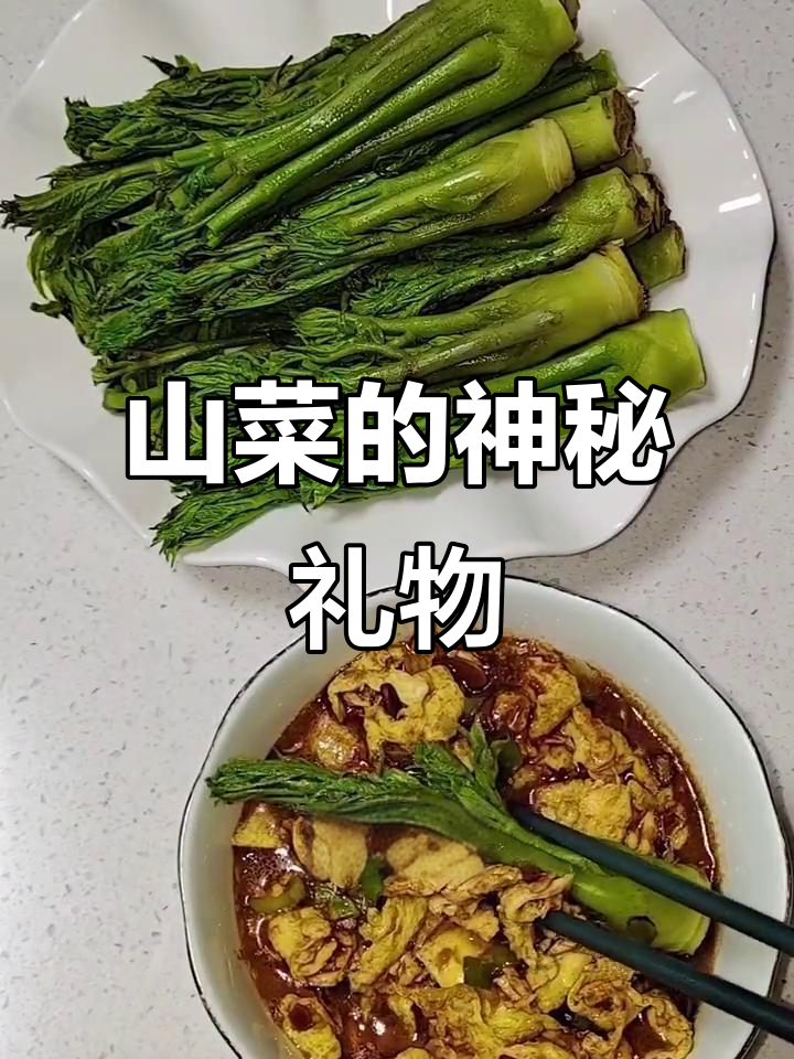 每到这个季节，婆婆都会寄来各种山菜，有些我连名字都不认识