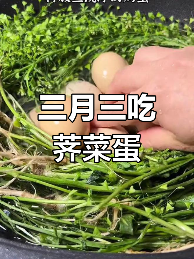 农历三月三,荠菜煮鸡蛋的独特习俗你了解吗?